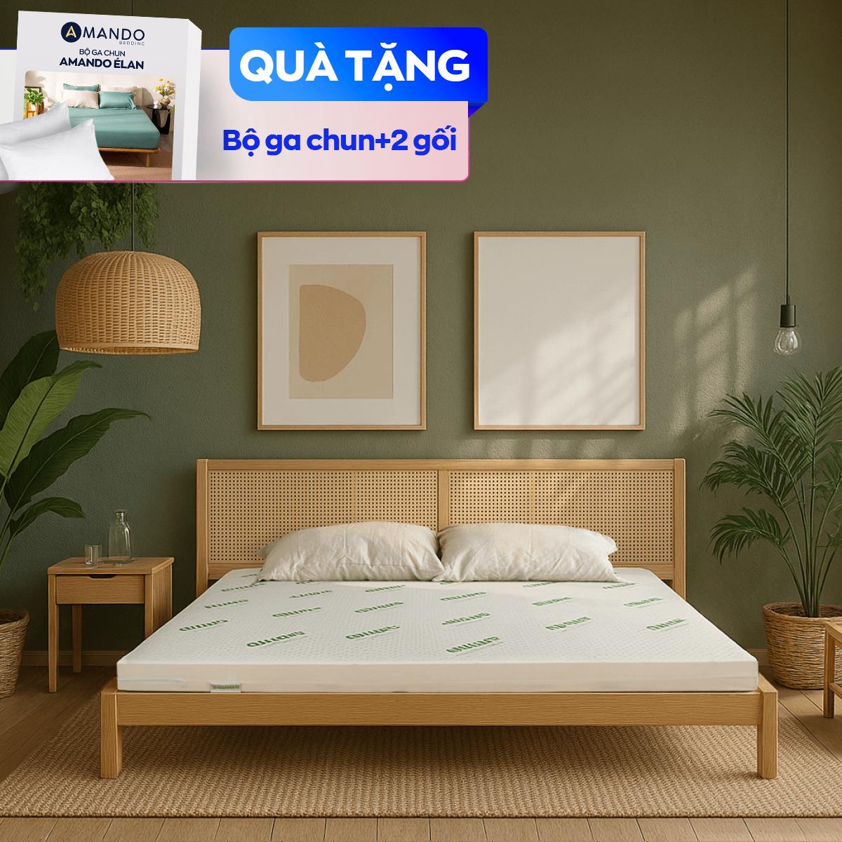 Nệm cao su thiên nhiên Gummi Classic thế hệ mới dày 5/10/15cm