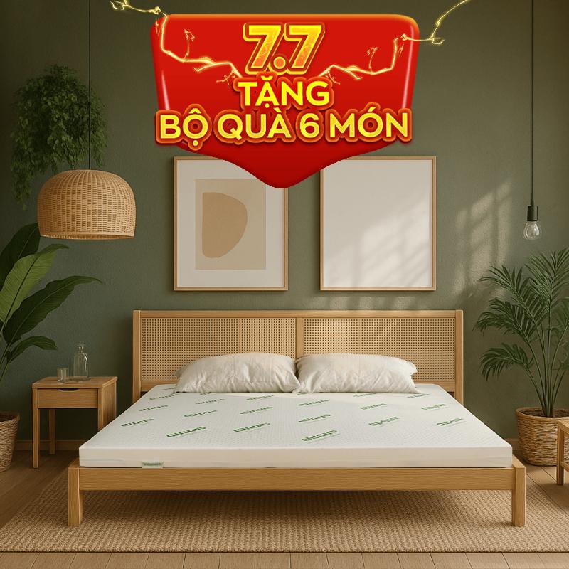 Nệm cao su thiên nhiên Gummi Classic thế hệ mới dày 5/10/15cm