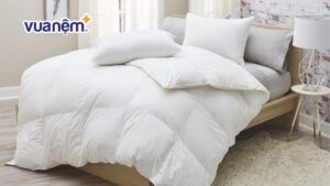 Ruột chăn lông vũ là gì? Top 3 loại ruột chăn lông vũ tốt