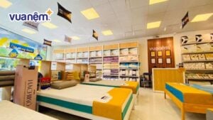 20+ Cửa hàng bán Topper nệm uy tín, giá tốt tại Hà Nội