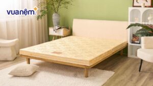 Top 5 mẫu nệm bông ép 1m6x2m tốt kèm bảng giá