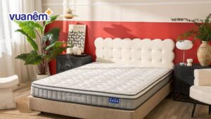 Top 8+ mẫu nệm lò xo 1m2x2m tốt, kèm bảng giá chi tiết