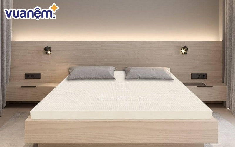 Dòng nệm cao su là best-seller của thương hiệu Vạn Thành