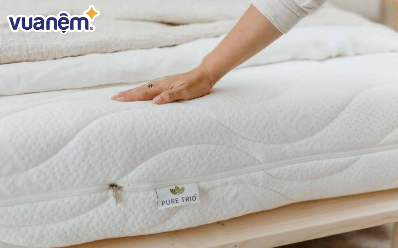 Kinh nghiệm mua nệm phù hợp với nhu cầu cá nhân và gia đình