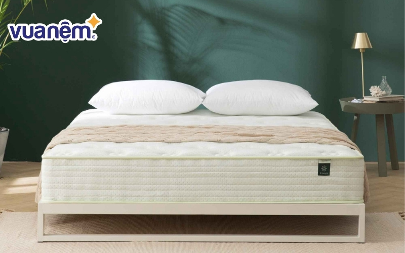 Nệm có độ chắc chắn và cứng cáp nhất định
