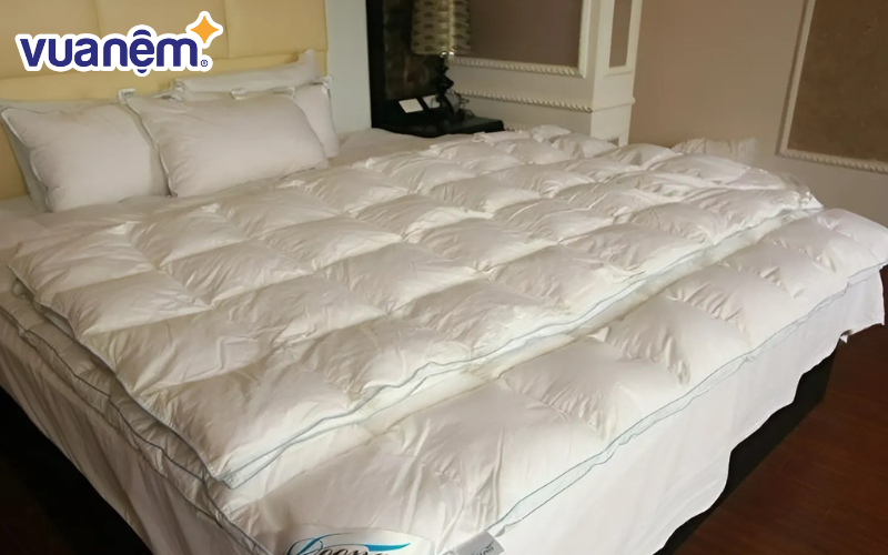 Nếu bạn lo sợ mua nhầm phải chăn gối lông vũ giả, hãy yên tâm lựa chọn Doona
