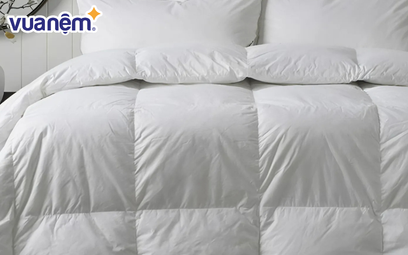 Chăn lông vũ giúp người dùng cảm thấy thoải mái, dễ chịu