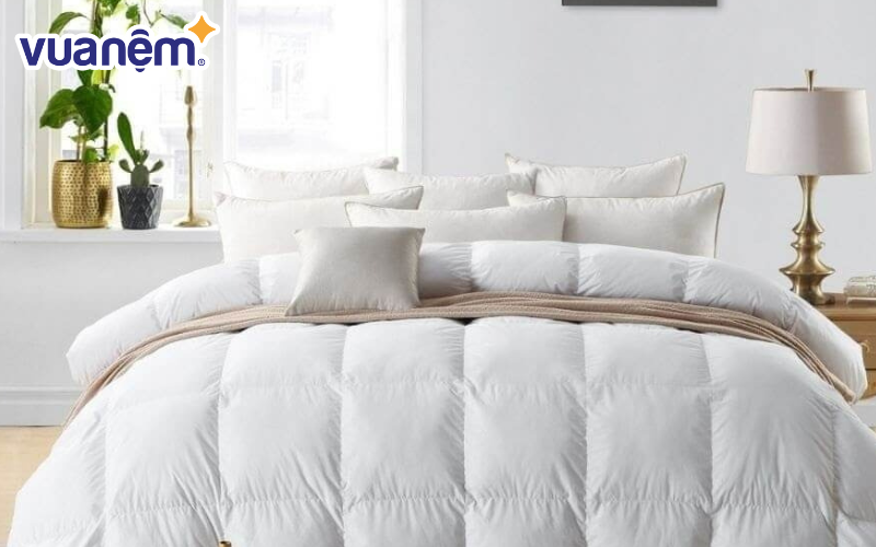 Chăn lông vũ Doona được làm từ lông vũ tự nhiên cao cấp
