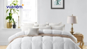 Chăn gối lông vũ Doona – lựa chọn số 1 cho giấc ngủ chất lượng