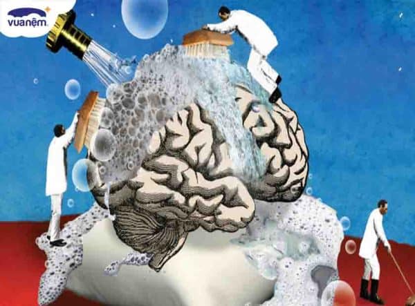 Chu kỳ giấc ngủ là gì? Làm sao để cải thiện chất lượng giấc ngủ?