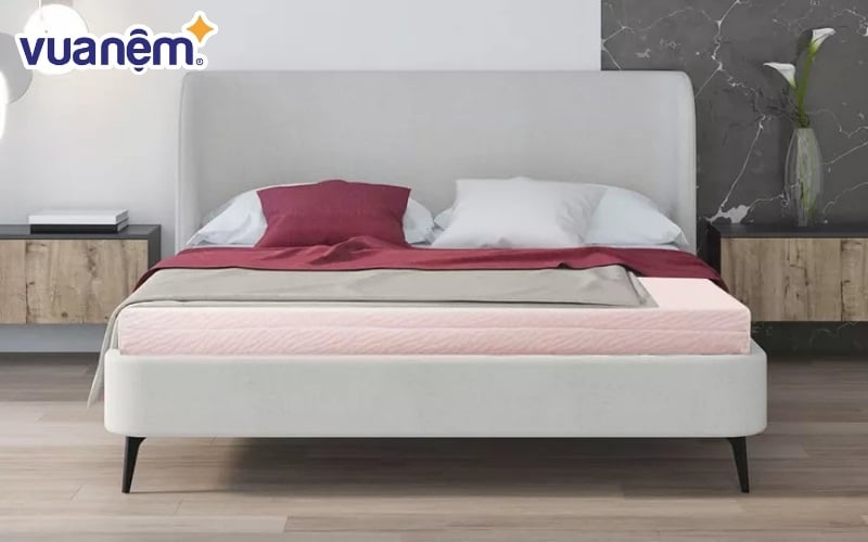 Giá bán nệm cao su Liên Á rất đa dạng