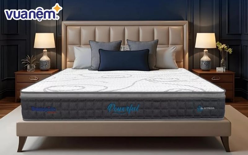 Giấc ngủ ngọt ngào hơn với gối nệm chất lượng tại Vua Nệm