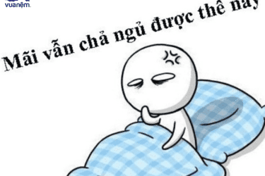 ly do khien 12 cung hoang dao mat ngu