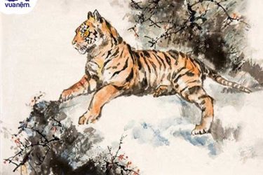 mau chan ga goi nguoi tuoi dan 1