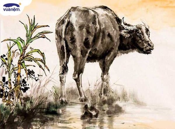 Mách bạn cách chọn màu chăn ga gối cho người tuổi Sửu