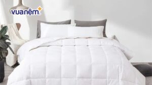 Giải đáp: Mùa hè có dùng chăn lông vũ được không?
