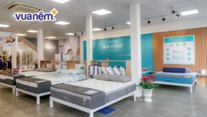 Nên mua ruột gối cao cấp ở đâu uy tín, chất lượng?