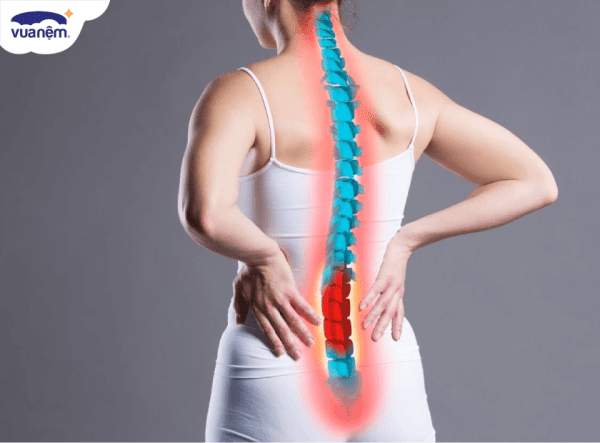 Cách chọn nệm tốt phù hợp cho người đau dây thần kinh tọa