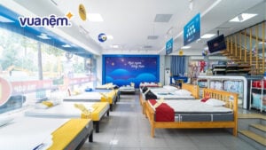Địa chỉ mua nệm giá tốt và chất lượng tại TPHCM năm 2025