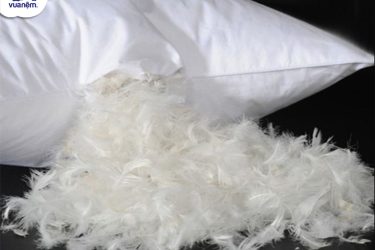 chăn ga gối nệm bằng lông vũ