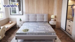 Nệm xơ dừa là gì, có tốt không? Ưu và nhược điểm thế nào?