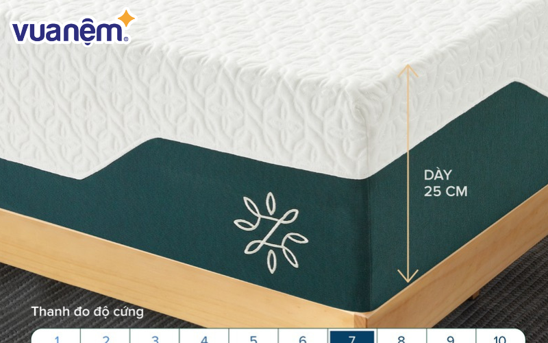 Nệm Foam cao cấp tinh chất trà xanh dày 25cm Zinus