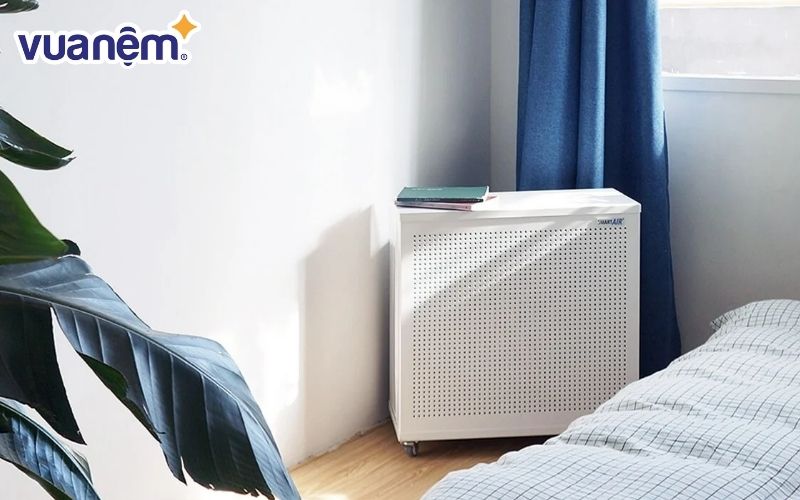 Sử dụng máy lọc không khí và máy tạo ẩm