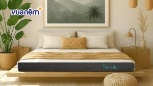 Người bị liệt nên dùng loại nệm nào tốt và phù hợp?