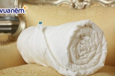 Đánh giá ruột chăn Hanvico