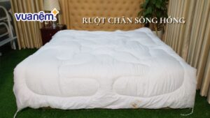 Ruột chăn Sông Hồng có tốt không? Đánh giá chi tiết