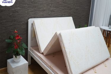 nệm bông ép cao su