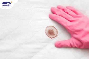 vệ sinh mền drap gối nệm
