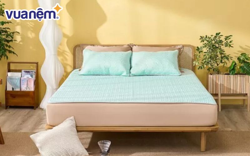 Tránh sử dụng các chất tẩy rửa mạnh khi vệ sinh chiếu