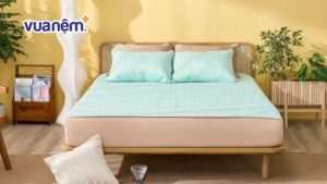 Chiếu điều hòa Tencel và những lợi ích bất ngờ khi sử dụng