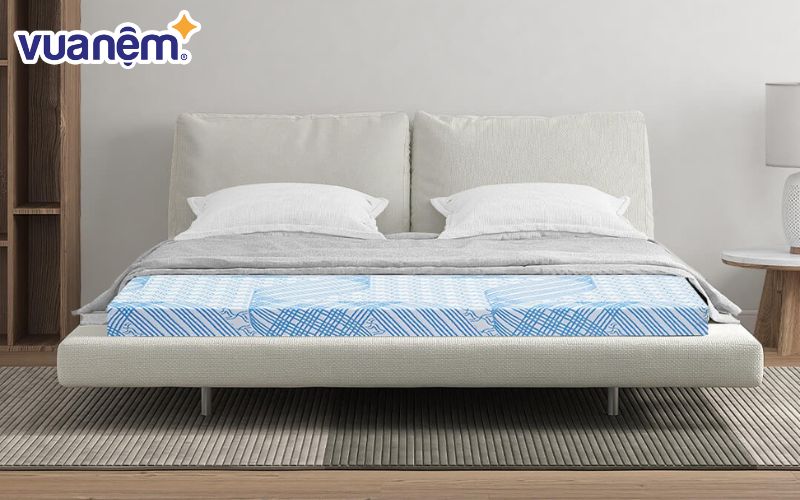 Cách vệ sinh nệm Kim Cương khi bị dính vết bẩn cứng đầu