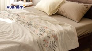 Chăn cotton hè là gì? Top 5 loại chăn cotton hè nên mua 