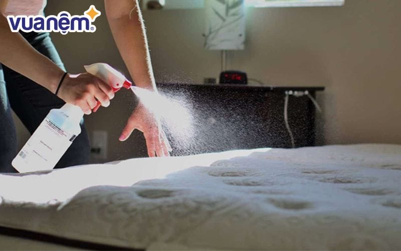 Khử trùng là bước quan trọng khi vệ sinh nệm Liên Á để  loại bỏ vi khuẩn, nấm mốc tiềm ẩn trong nệm