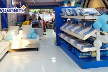 đại lý nệm Kim Cương TPHCM