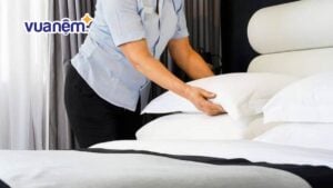Gối lông vũ khách sạn 5 sao có gì khác biệt? 5 mẫu gối nên mua