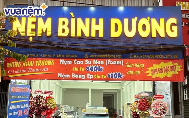 Nệm Bình Dương cung cấp nhiều sản phẩm chất lượng
