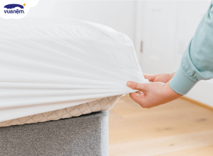 Top 4 tấm bảo vệ nệm chống ẩm mốc tốt nhất hiện nay