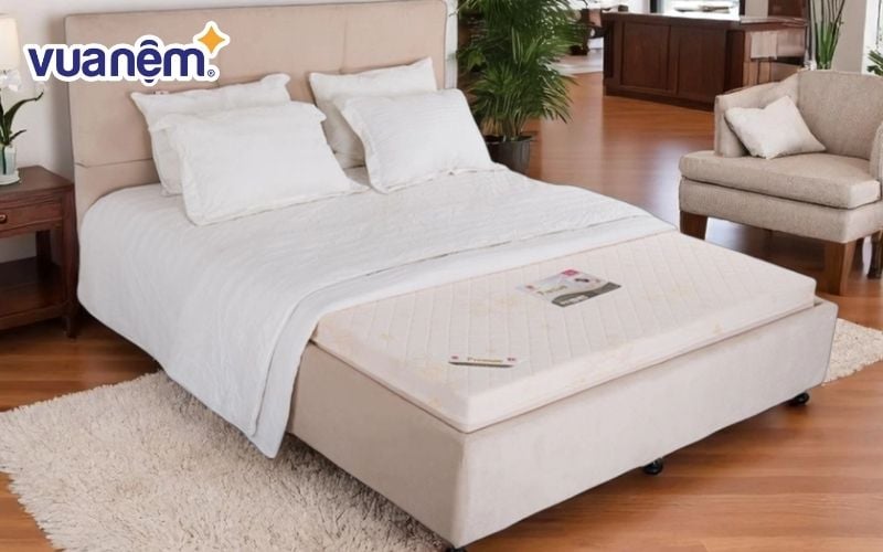 Nệm mousse Premium 12N Vạn Thành nâng đỡ cơ thể tối ưu