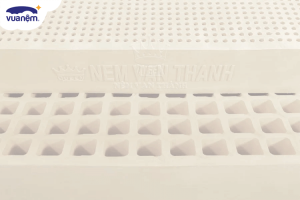 Tìm hiểu và đánh giá chi tiết nệm cao su Vạn Thành Standard