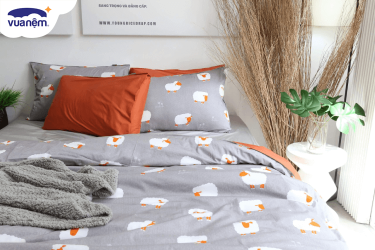 top bộ drap giường 1m6