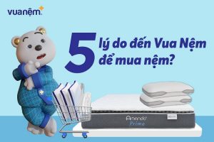 Tiết lộ: 5 lý do sẽ thuyết phục bạn đến Vua Nệm để mua nệm