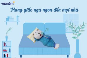 Vua Nệm: Người bạn đồng hành cho những giấc ngủ ngon