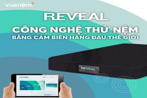 “Giải mã” kết quả từ máy đo áp lực cơ thể Reveal by XSensor