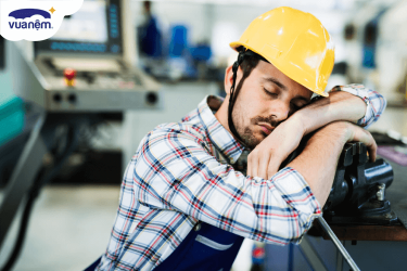 loại nệm giá rẻ cho công nhân