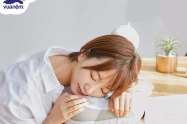 gối tựa cổ văn phòng