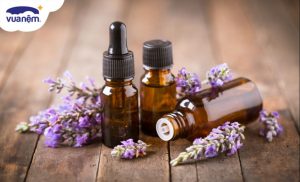 Tinh dầu thơm phòng ngủ – Liệu pháp tạo mùi hương tuyệt vời và lành tính